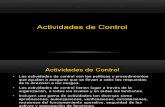 Gestion de Riesgos ERM - COSO II -  ActControl&InfoComun&Monitor 4.pdf