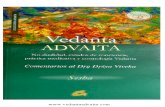 Sesha - Vedanta Advaita. No dualidad, estados de conciencia, práctica meditativa y cosmología advaita