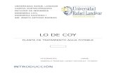 INFORME PLANTA DE LO DE COY.docx