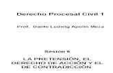 Sesión 6 - derecho procesal civil