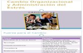 Capitulo 19 cambio organizacional y administración del estres.pptx
