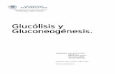 Glucolisis y Gluconeogenesis