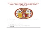 FiSIología Del Equilibrio Periférico y Central
