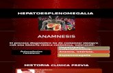 Hepatoesplenomegalia Clinica, Diagnostico.
