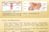 Farmacología Del Aparato Reproductor