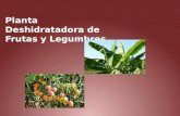 BM_Canvas Deshidratodra de Frutas y Legumbres