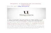 Startup - Singularu