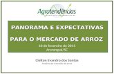 PANORAMA E EXPECTATIVAS PARA O MERCADO DE ARROZ Cleiton Evandro dos Santos Analista de mercado de arroz 10 de fevereiro de 2015 Araranguá/SC.