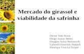 Mercado do girassol e viabilidade da safrinha Devair João Rosin Diego Joanan Benso Douglas Junior Bertoncelli Gabrielli Fiorentin Dedordi Henrique Vinicius.