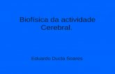 Biofísica da actividade Cerebral. Eduardo Ducla Soares.