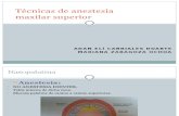 Técnicas de Anestesia(Maxilar superior)