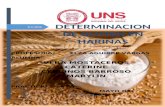 DETERMINACION DE GLUTEN EN HARINAS-practica3.docx