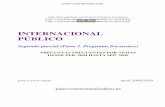 Derecho Internacional Público - Segundo Parcial