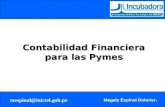Taller de Contabilidad Financiera Para Las Pymes