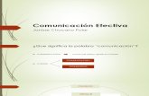 Comunicación Efectiva - Janisse