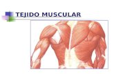 tejido muscular animal.pptx