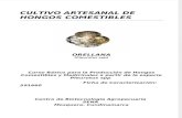 CULTIVO ARTESANAL DE HONGOS COMESTIBLES.docx
