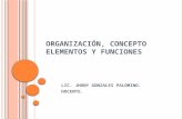 Organización, Concepto Elementos y Funciones