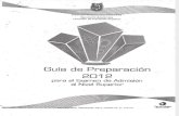 GUIA IPN por infomaticas.pdf
