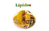 lipidos (1)