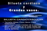Rx Silueta Cardiaca y Grandes Vasos