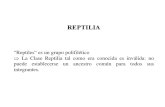 05 Reptiles PRESENTACION.pdf