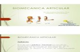 4 Biomecánica Articular