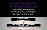 CONTROL POLITICO  10A.pptx