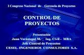 Control de Proyectos - JVM.pps
