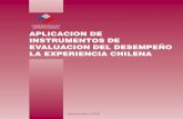 APLICACION DE INSTRUMENTOS DE EVALUACION DEL DESEMPEÑO.pdf