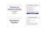 10 - Funciones con regulacion endocrina.pdf