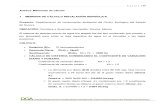 Anexo Calculo Instalacion Idraulica (4).pdf