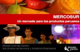 Oportunidades Comerciales Con Mercosur - Brasil