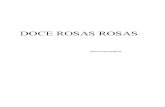 Doce Rosas Rosas