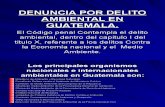 4.DERECHO AMBIENTAL (Pres Guatemala).ppt