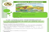 ANIMALES VERTEBRADOS E INVERTEBRADOS.pptx