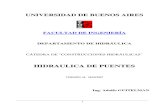 Hidraulica de Puentes - Ing. Adolfo Guitelman - Universidad de BUENOS AIRES - 2007.pdf