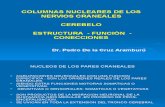-Columnas Nucleares y Cerebelo 2016