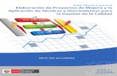 Guía Técnica para la Elaboración de Proyectos de Mejora, RM N° 095 2012 MINSA.pdf