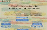Micronutrientes deficiencia