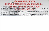 Ambito Empresarial en México