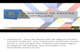 CLIMATERIO DE FRUTAS Y HORTALIZAS.pdf