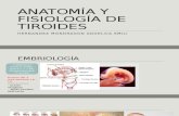 Anatomía y Fisiología de Tiroides