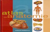 atlas de anatomiei lustrat
