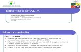 Microcefalia y Macrocefalia