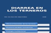3. Diarrea en Los Terneros
