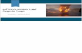 Estudios de Carga de Fuego - Metodo Gustav Purt - Ing. Blanco