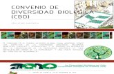 Convenio de Diversidad Biologica (Cbd)