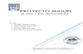 Proyecto Mina San Miguel
