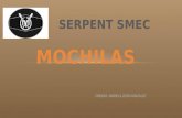 Serpent SMEC